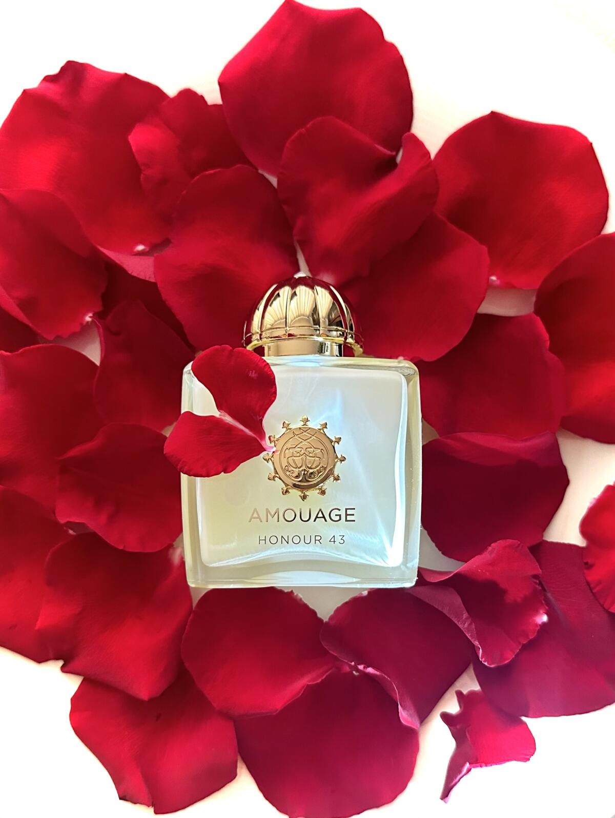 Amouage Honor 43 Kadın Parfümü - Perfume Fragrance Families incelemesi ve fiyatı
