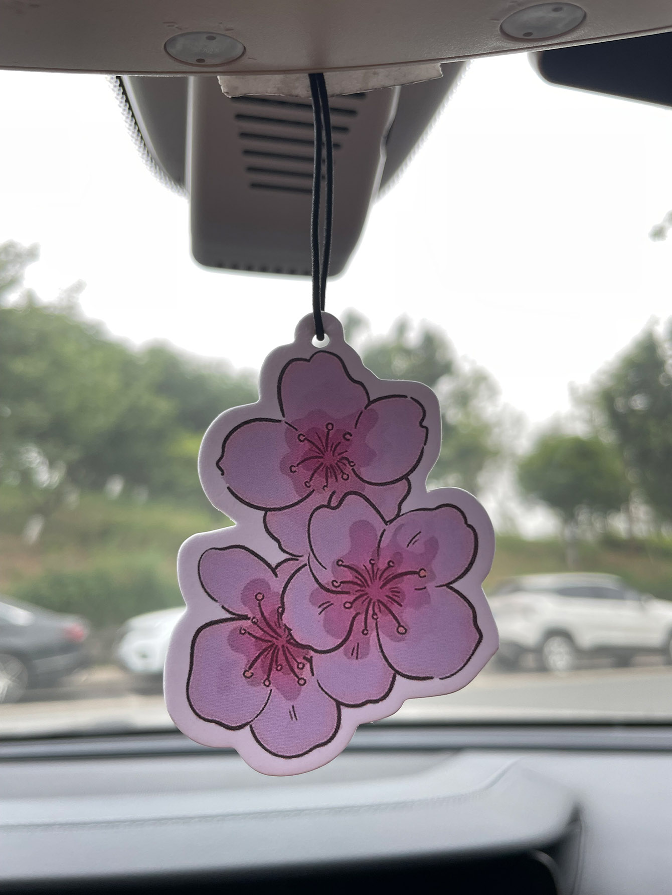 Sakura/Frezya Taze Kokulu Beş  - Perfume Fragrance One incelemesi ve fiyatı