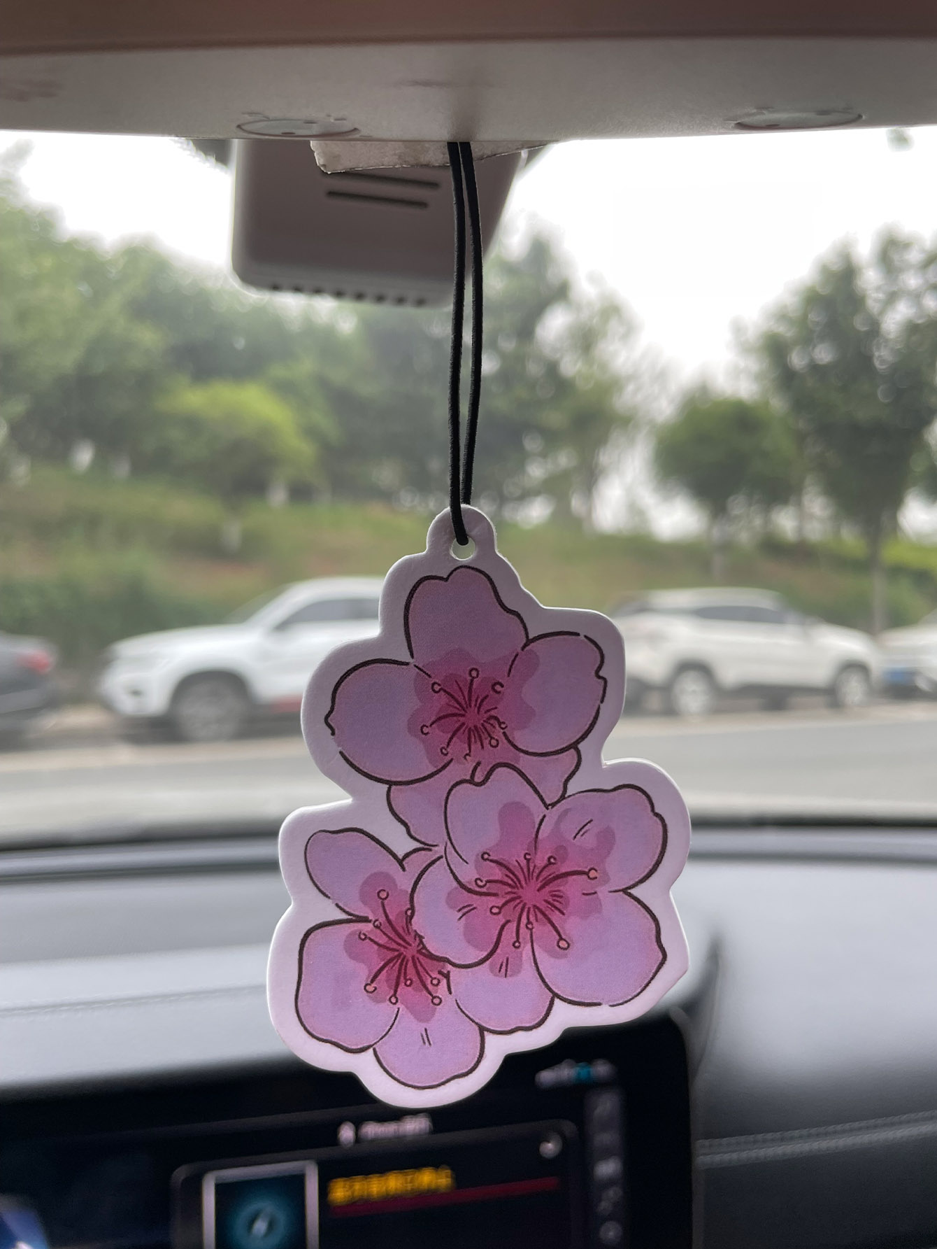 Sakura/Frezya Taze Kokulu Beş  - Perfume Fragrance One incelemesi ve fiyatı